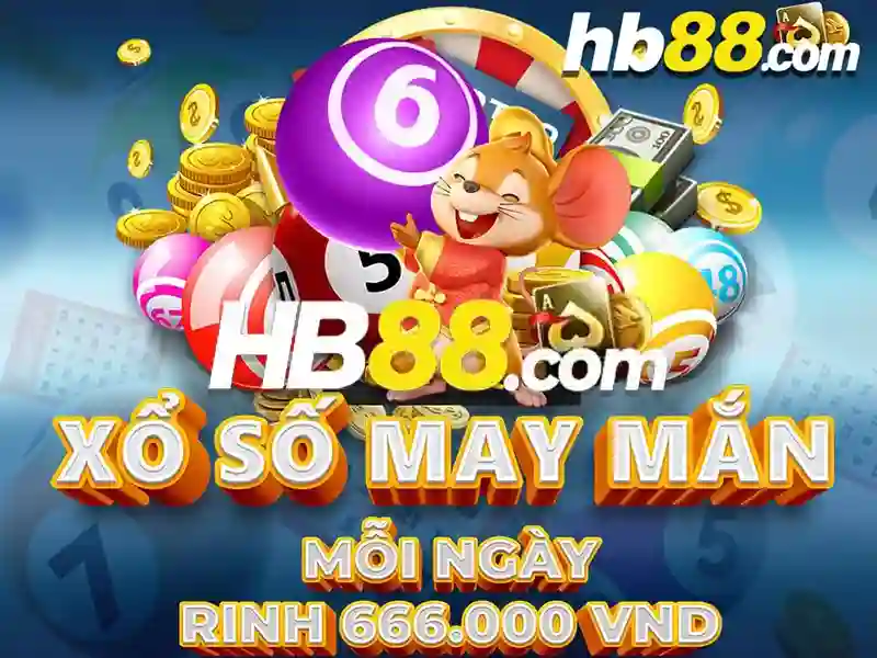 Trải nghiệm người dùng và phản hồi