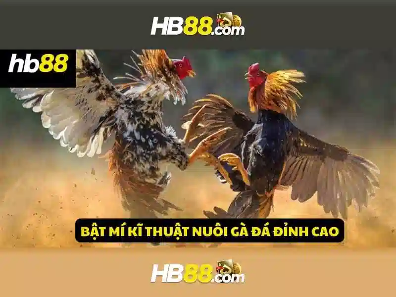 Hb88: Tổng quan về nền tảng giải trí trực tuyến