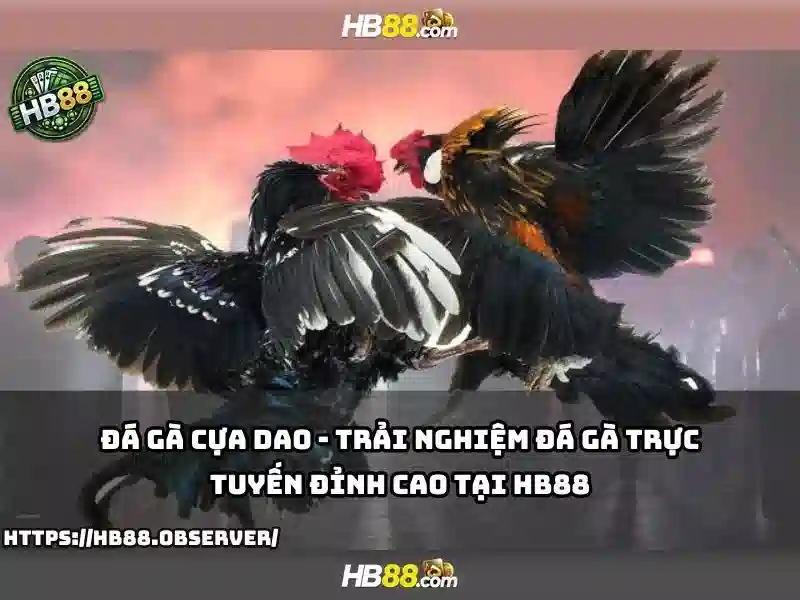 HB88 là gì? Tổng quan về nền tảng cá cược trực tuyến
