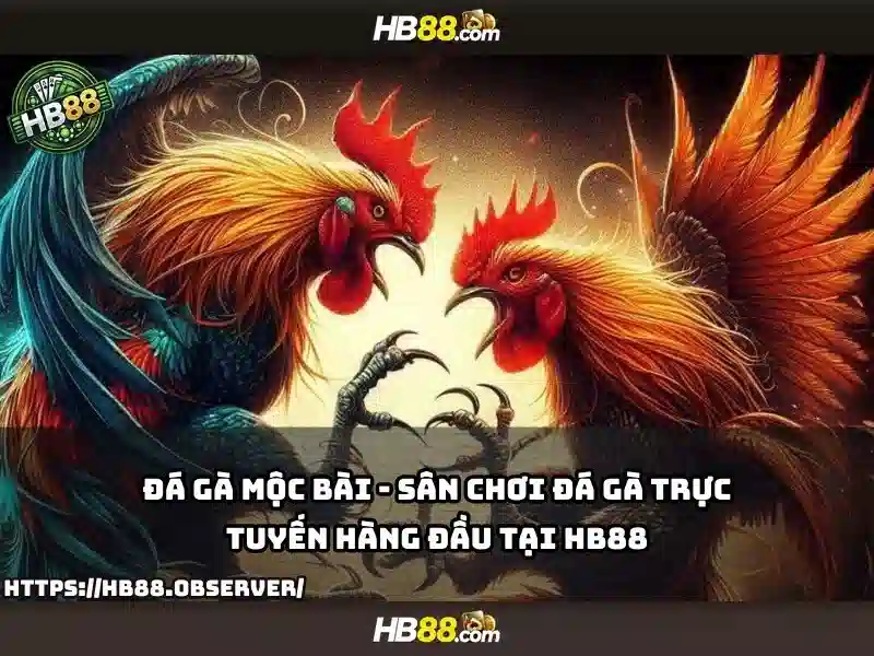 Hb88: nền tảng cá cược trực tuyến và trải nghiệm người dùng