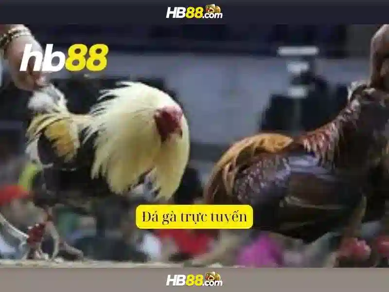 HB88: Toàn cảnh về nền tảng cá cược trực tuyến