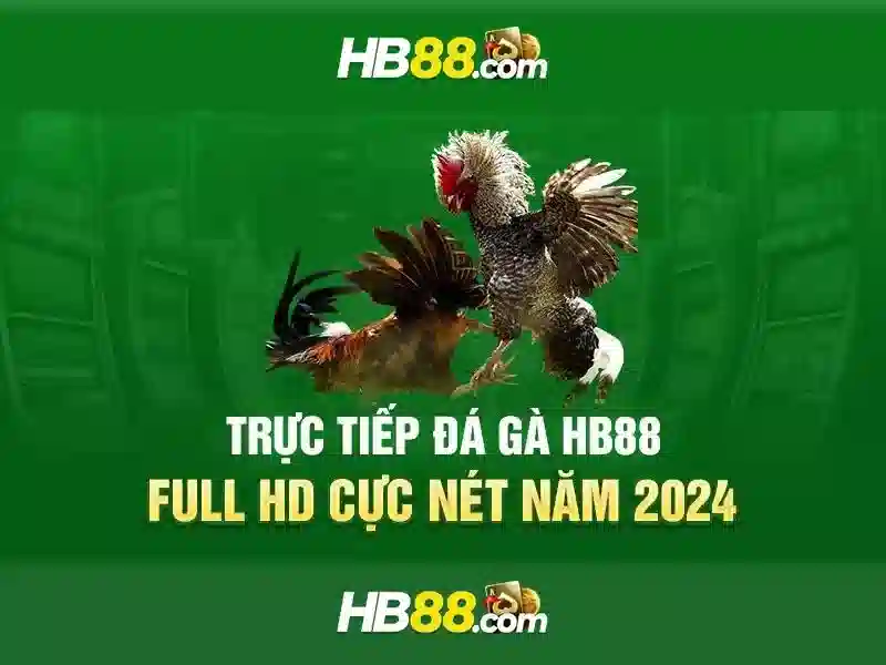HB88 - Nền tảng cá cược trực tuyến đáng tin cậy
