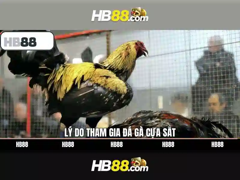 Giao dien va tinh nang