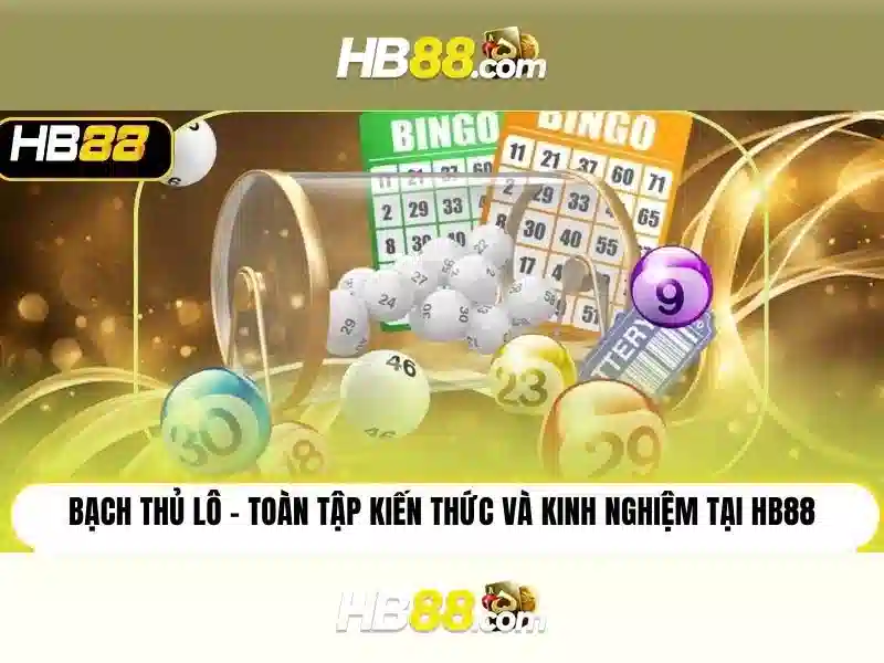 hb88: Giới thiệu và phạm vi hoạt động
