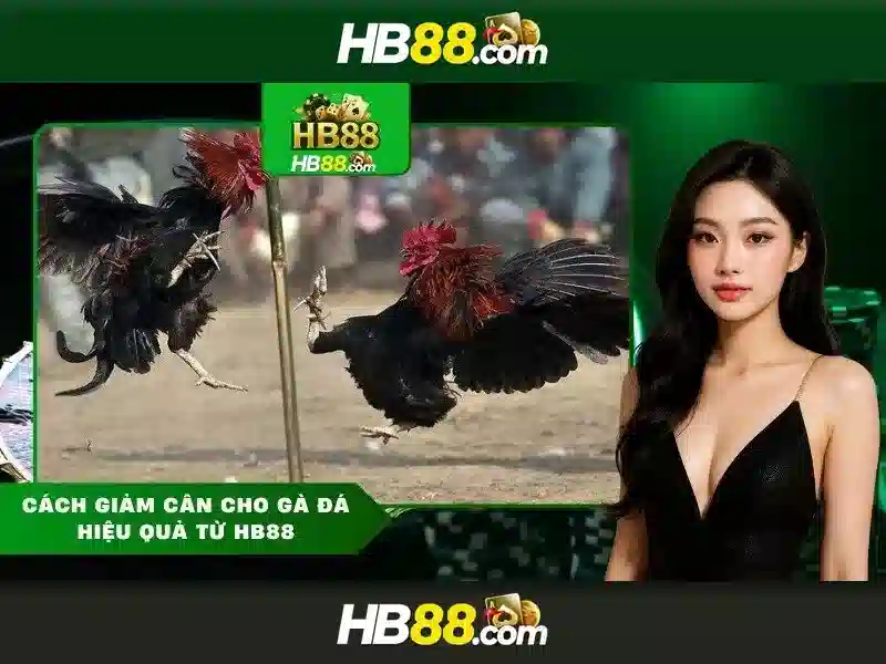 An toàn và trách nhiệm