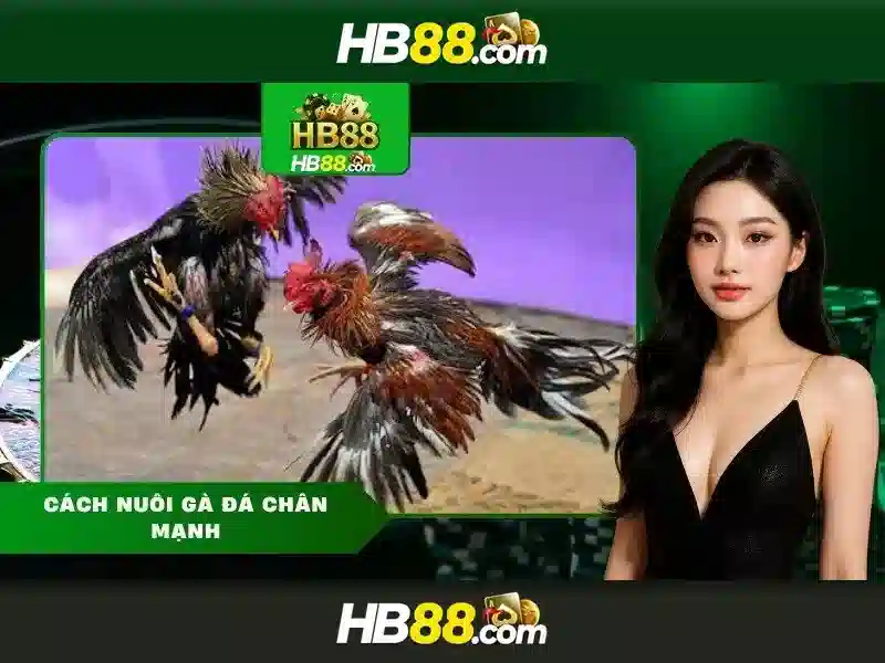 An toàn và bảo mật