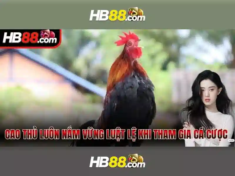 HB88: Tổng quan về nền tảng cá cược trực tuyến và những tính năng nổi bật