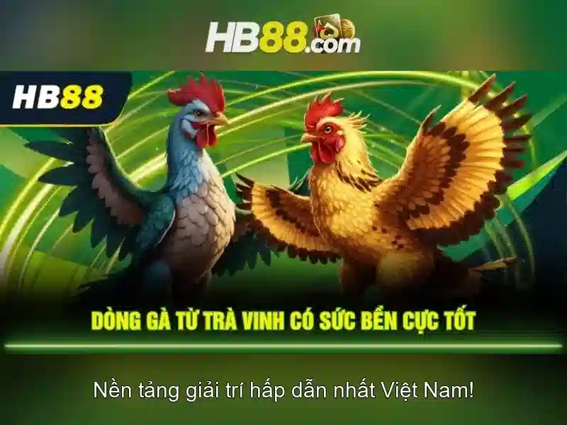 hb88: Nền tảng cá cược trực tuyến