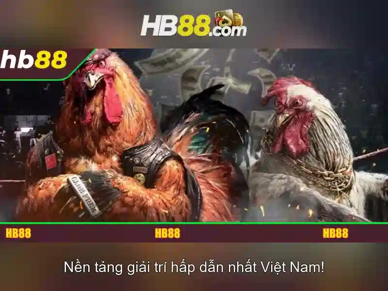 Hb88: Tổng quan về nền tảng cược trực tuyến và trải nghiệm người chơi