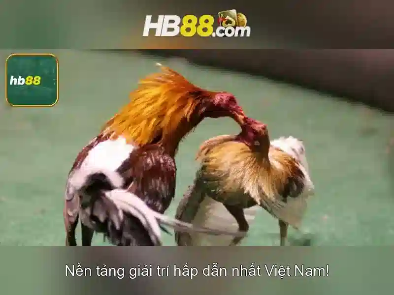 Phát triển tương lai và tầm nhìn