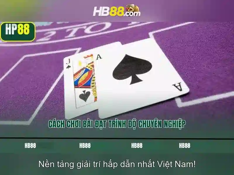 Hb88: Tổng quan về nền tảng giải trí trực tuyến