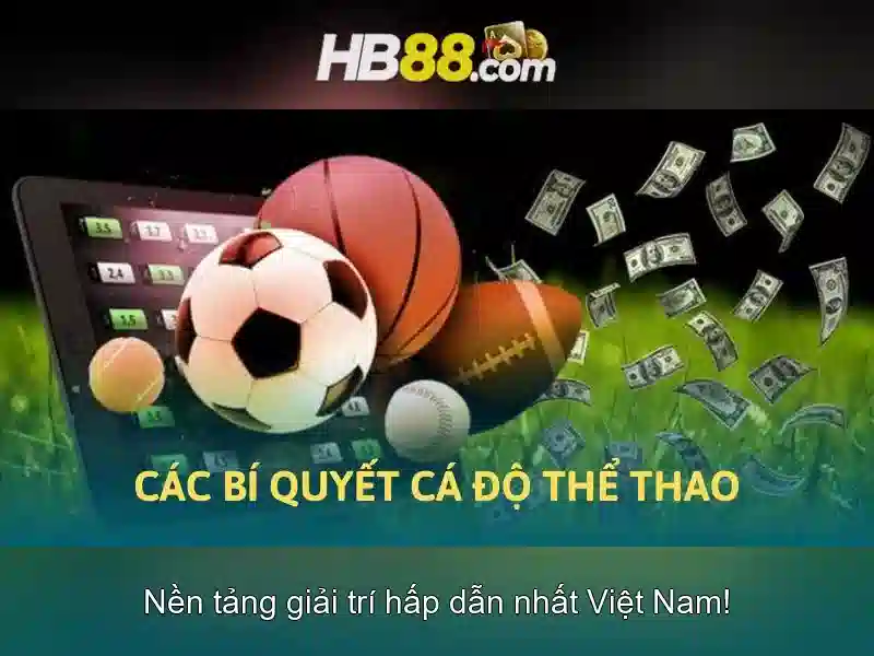 HB88 là gì và những đặc điểm của nền tảng cá cược trực tuyến