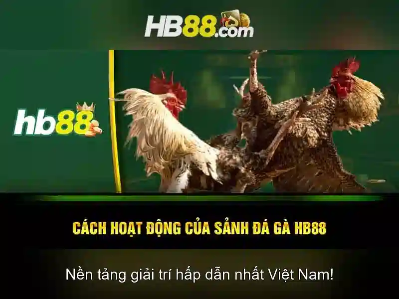 Lợi ích và cân nhắc khi tham gia hb88