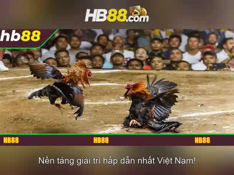 Lợi thế và cạnh tranh